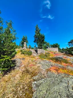 Skog och mark i och kring Sundsvall.