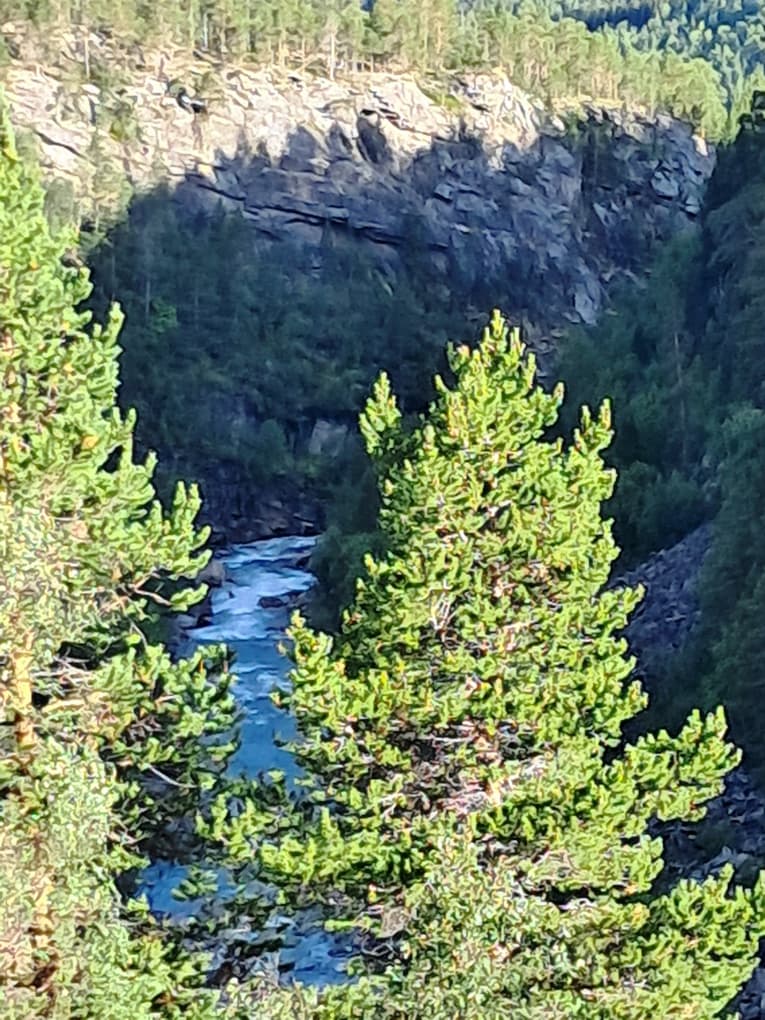 Blandat från Norge.